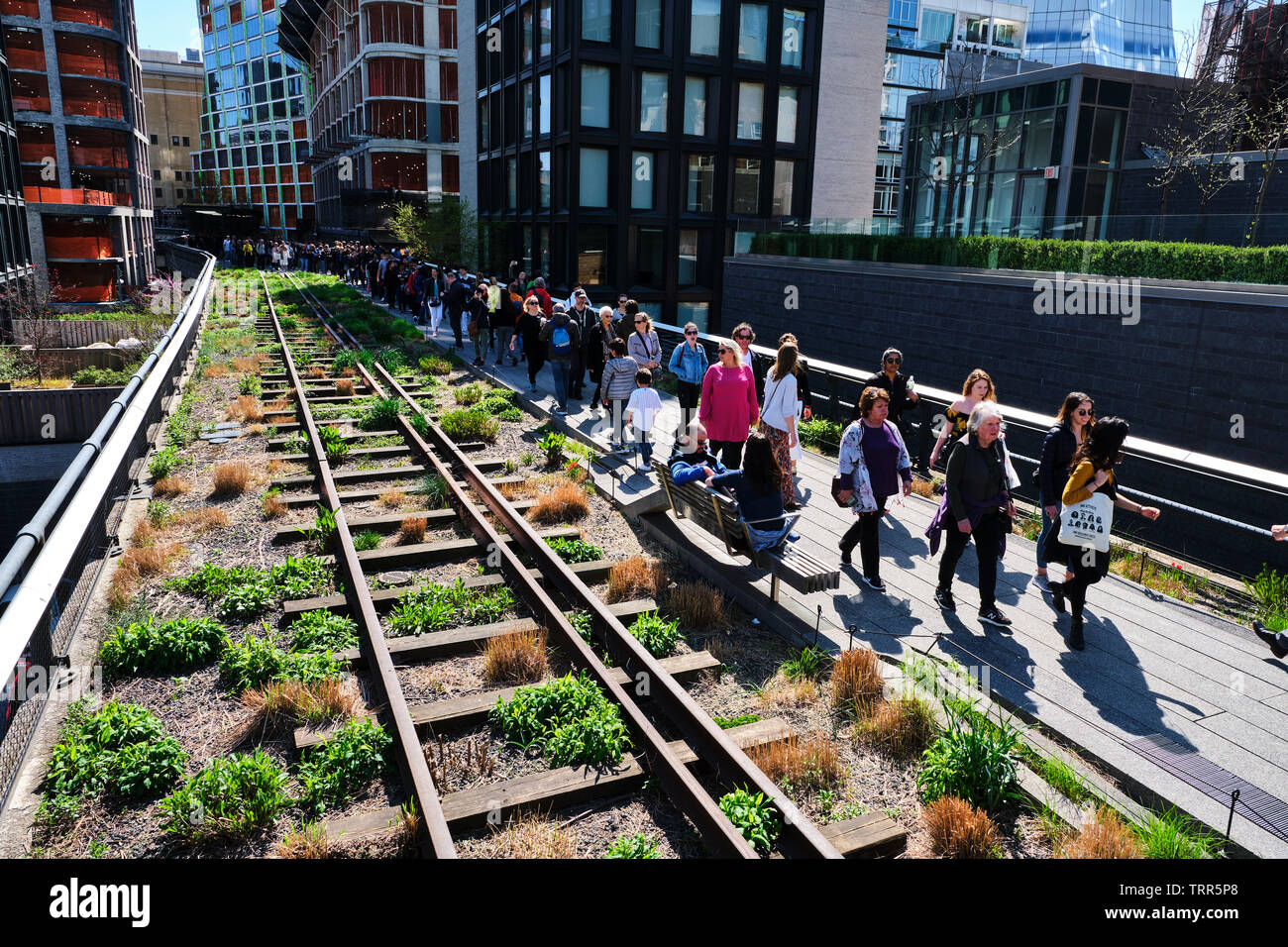 Pictured is The High Line a 1.45milelong elevated linear park