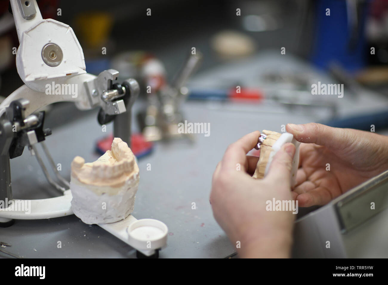 Dental technician in the laboratory produces crowns using plaster casts