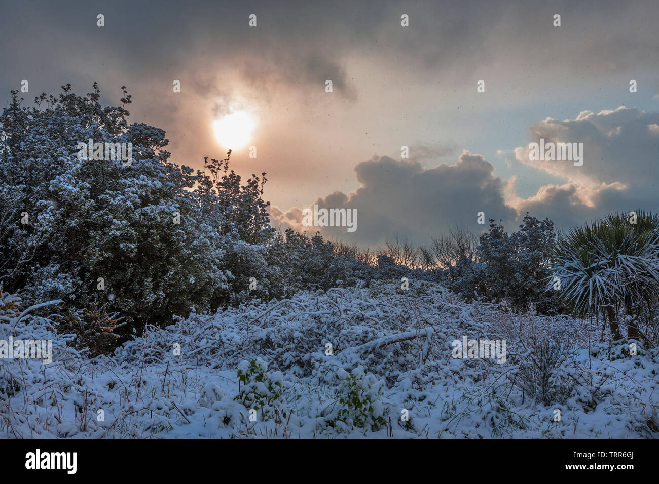 Rare snowstorm, Rocky Hill, St. Mary's, Isles of Scilly, UK, March 2018 Stock Photo