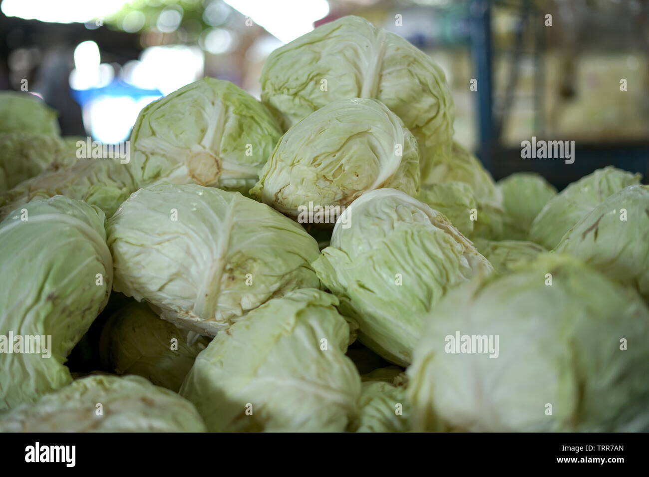 Cabbage for sale at Traditional vegetable market stall Stock Photo Alamy