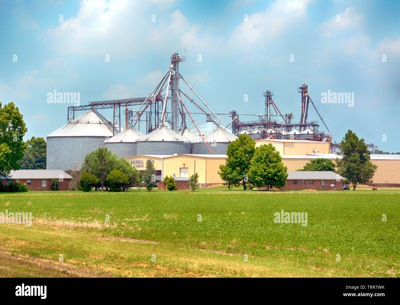 The Magnolia Grain Company complex with grain elevators, silos and buildings in rural Cary, MS Stock Photo