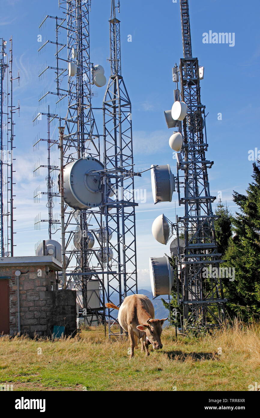 Italy Piedmont lakes area communication towers with cow cell phone Mount Montarone above Stresa Stock Photo