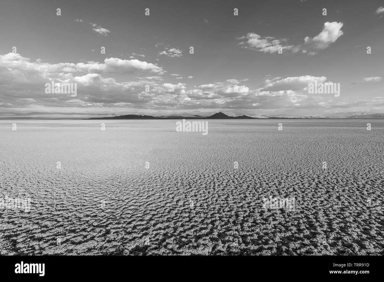 Black and white view of Soda dry lake in the Mojave desert near Baker, California. Stock Photo