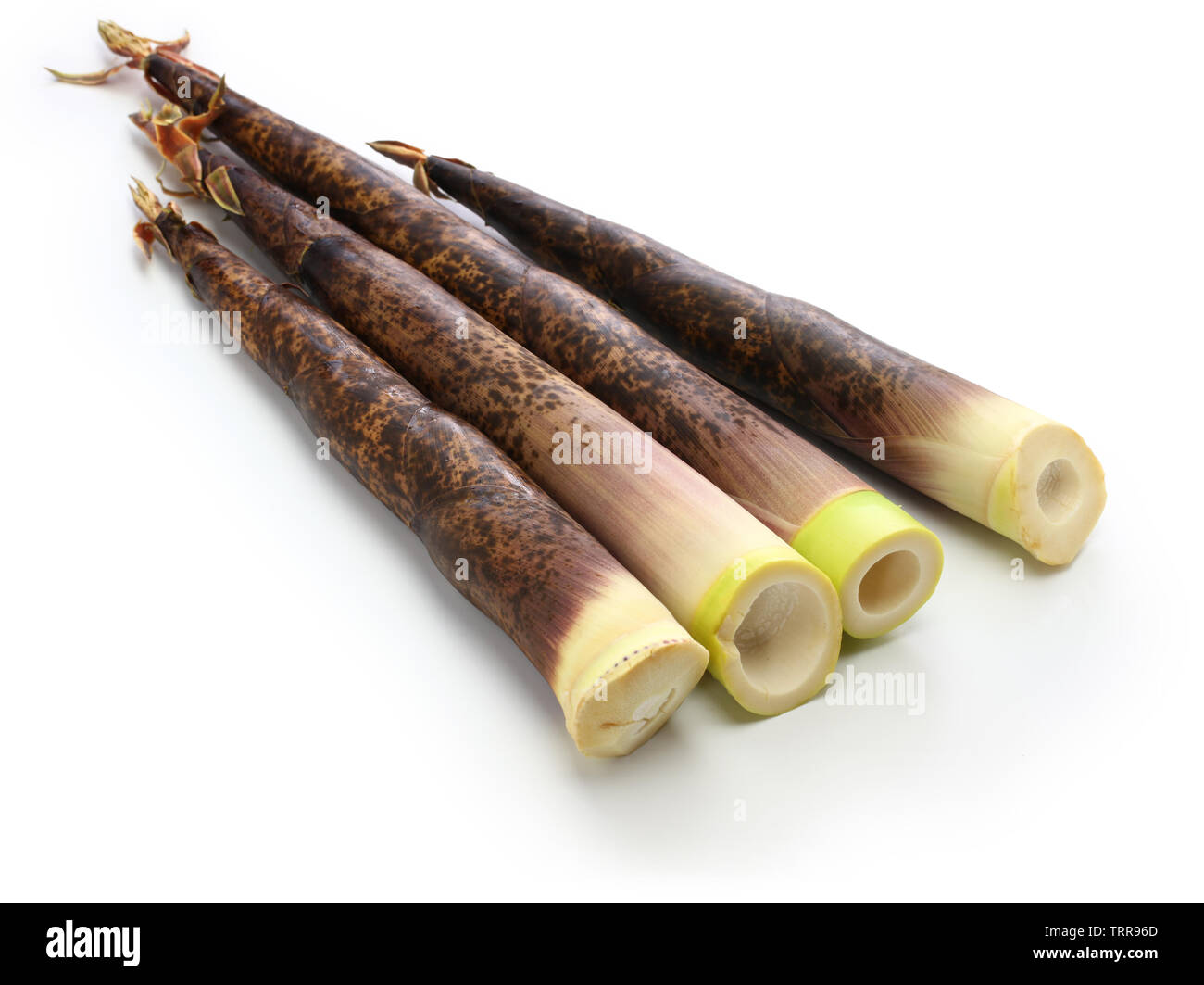 Giant timber bamboo hires stock photography and images Alamy