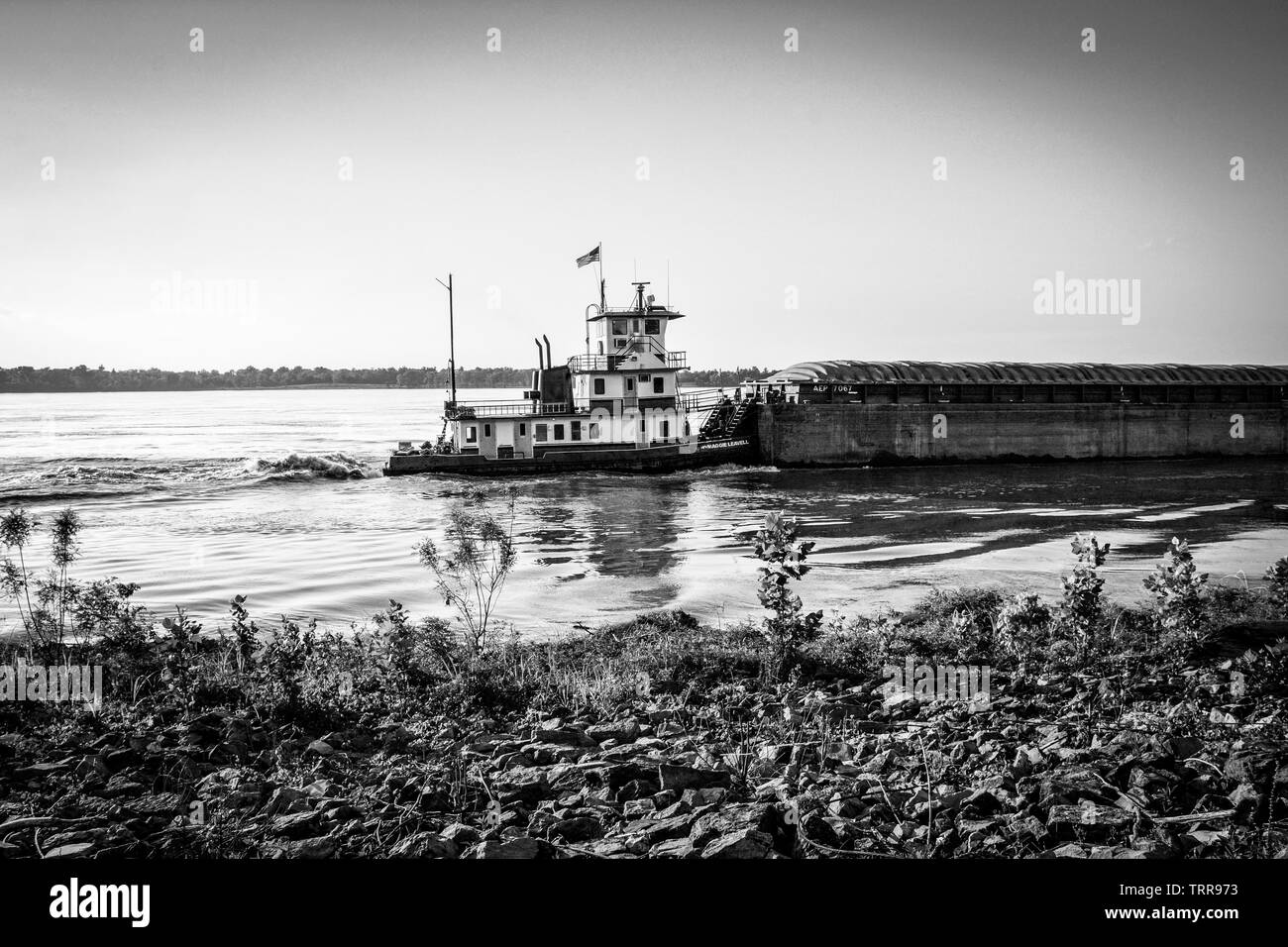 View from the riverbank of a loaded barge navigating the mighty Mississippi River with the help of a tug boat at sundown near Greenville, Mississippi Stock Photo