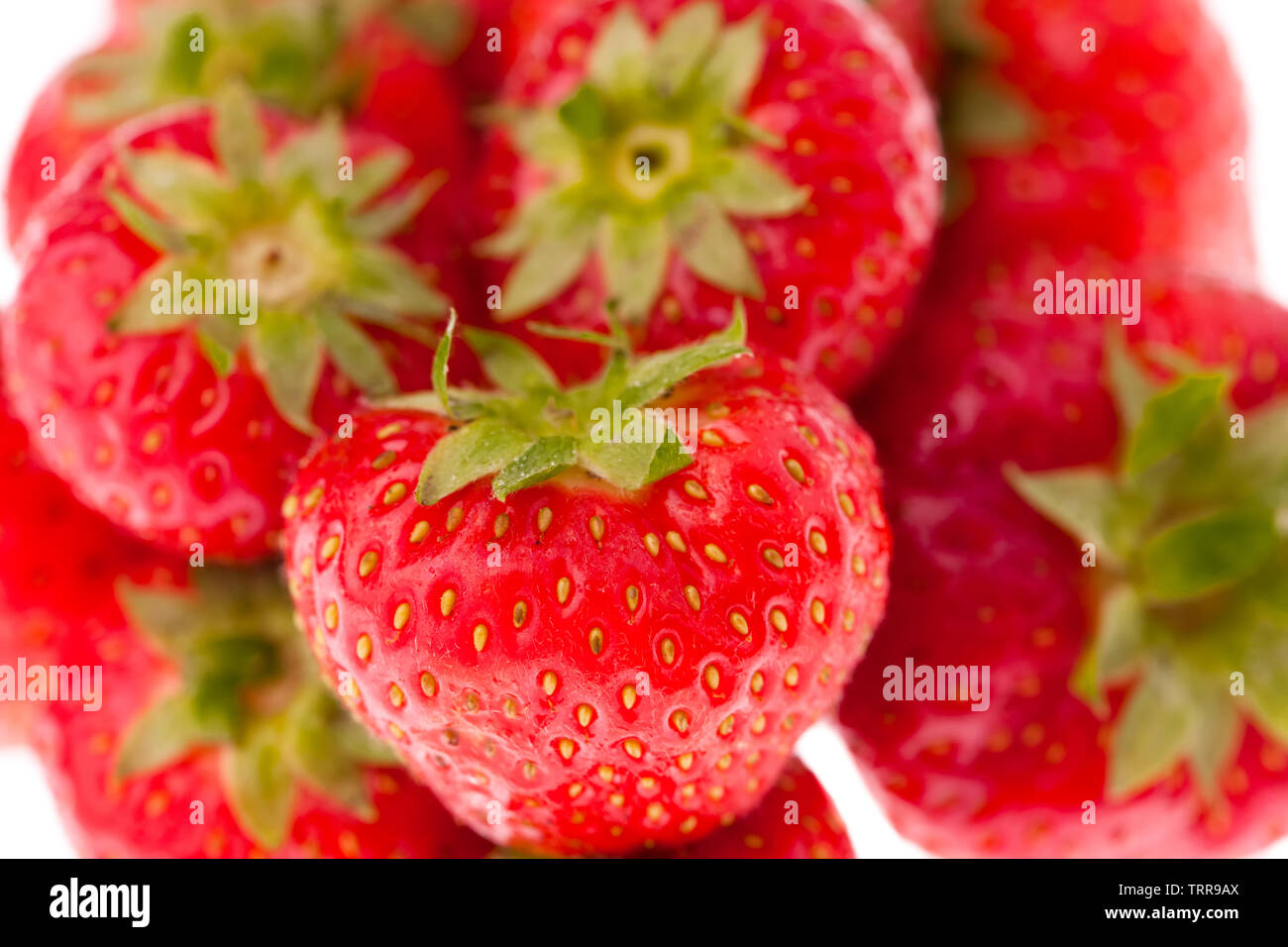 studio photo of fresh strawberries on a white background Stock Photo ...