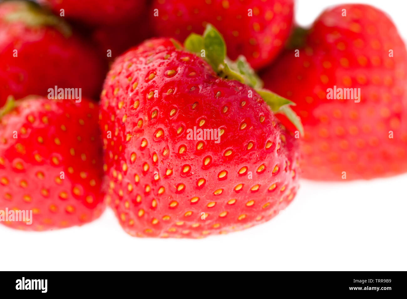 studio photo of fresh strawberries on a white background Stock Photo ...