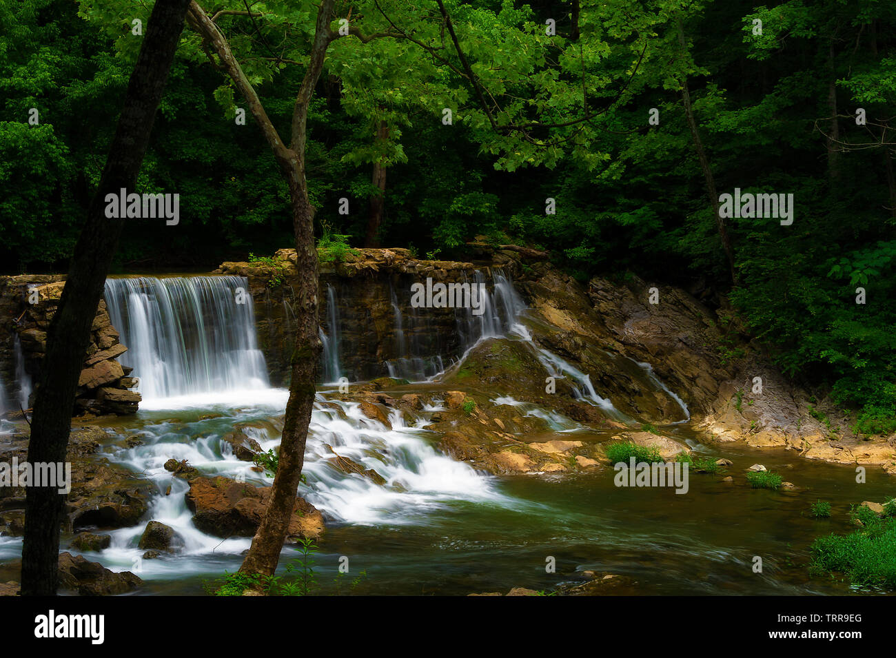 North rogersville hires stock photography and images Alamy
