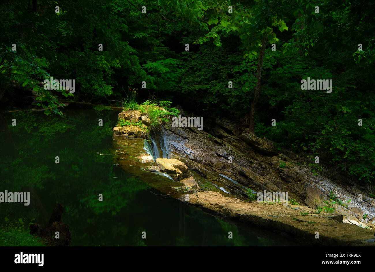 North rogersville hires stock photography and images Alamy