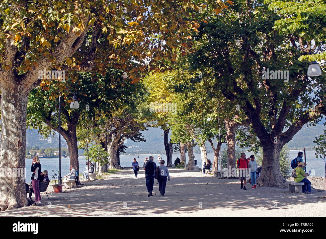 Italy Piedmont lakes area Stresa Lago Maggiore Borromean Isles Isola Pescatori tourists fall day foliage tree lined promenade Stock Photo