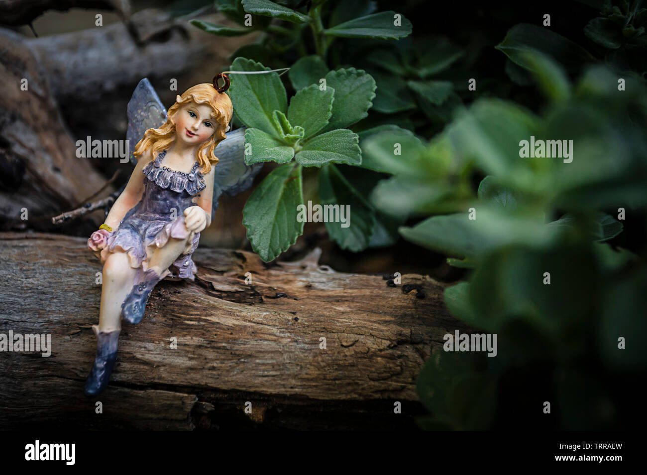 Fairies in the garden hi-res stock photography and images - Alamy