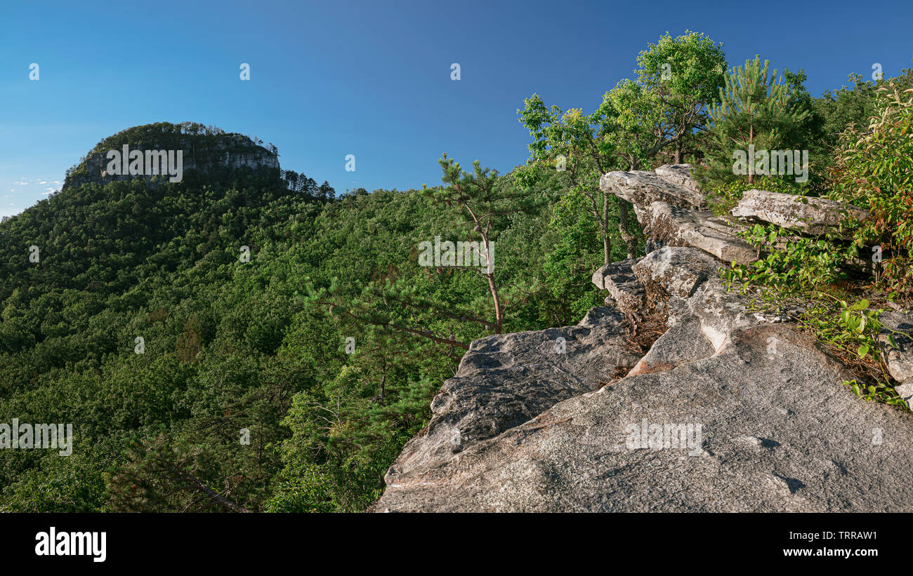 View of main pinnacle (knob) at Pilot Mountain State Park, North Carolina on a clear summer morning. Landscape photography in NC Stock Photo