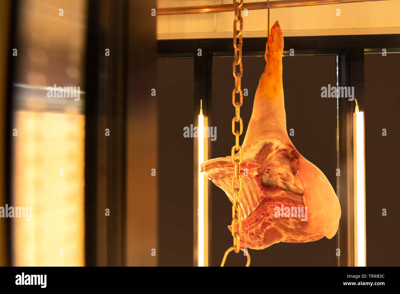 Pig Ebola and African swine disease in Vietnam and China  concept. Frozen pig carcasses hanging  , arrange and processing deposit in a refrigerator in Stock Photo