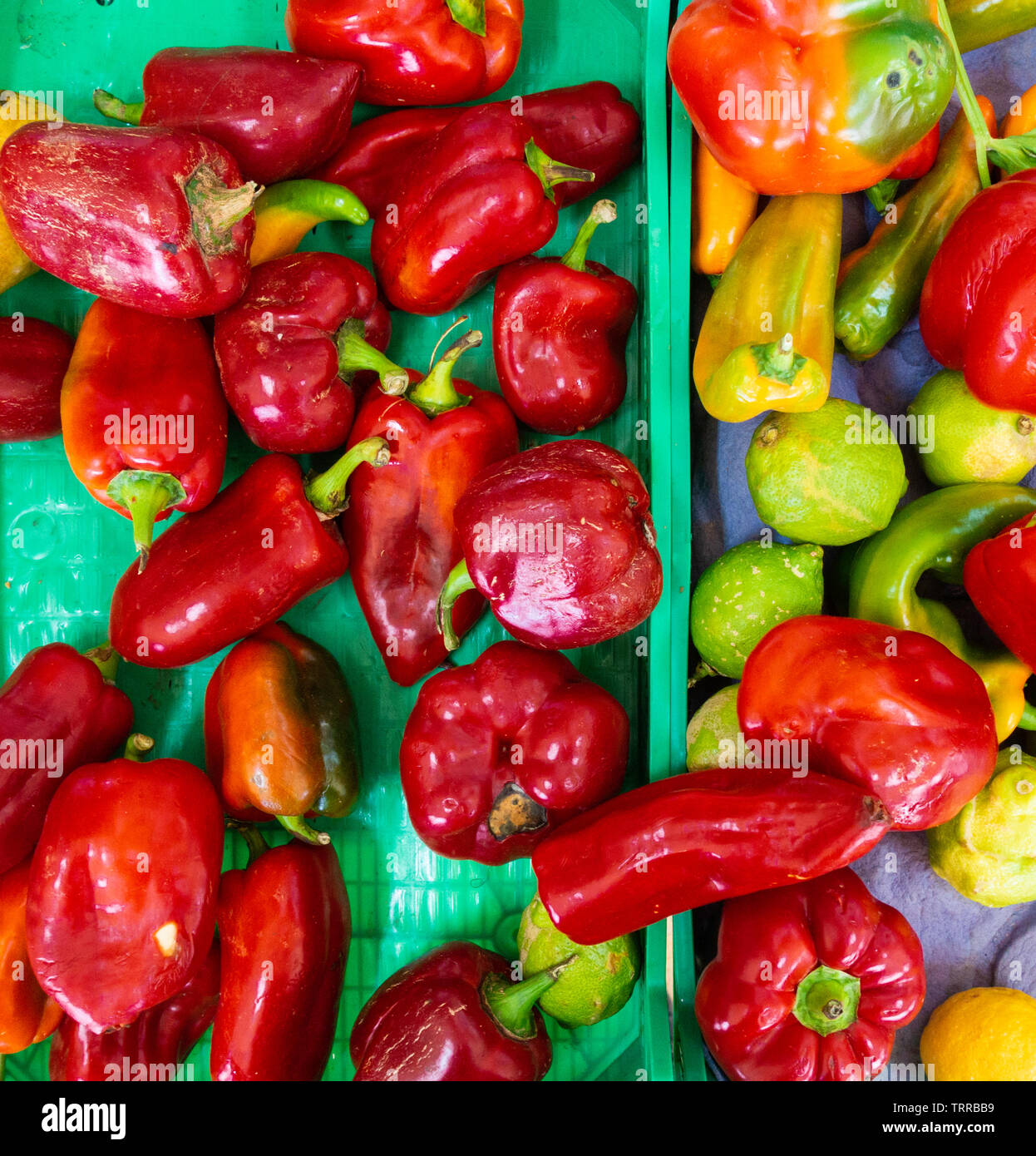 Red Peppers on market stall in Spain Stock Photo