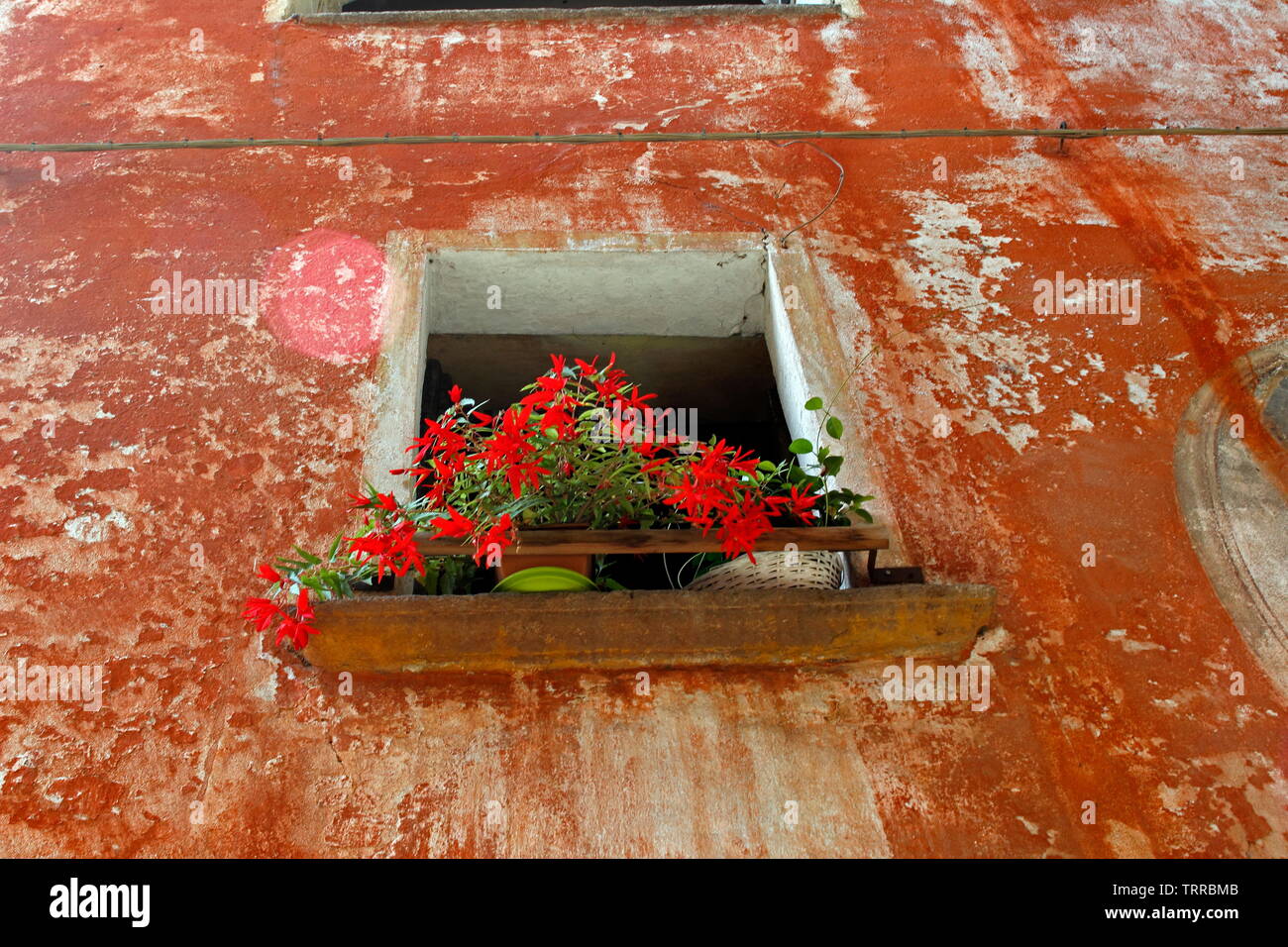 Italy Piedmont lakes area Orta San Giulio Lago d' Giulio Italian Alps window with flowers on red wall Stock Photo