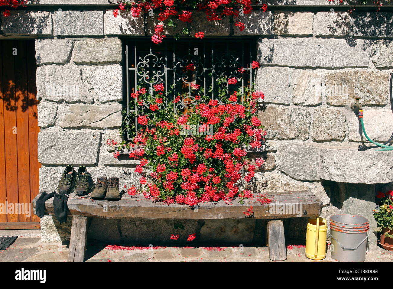 Italy Piedmont lakes area Lago d' Giulio Italian Alps Valsesia Valley Piode traditional stone buildings with red flowers geraniums architecture garden Stock Photo