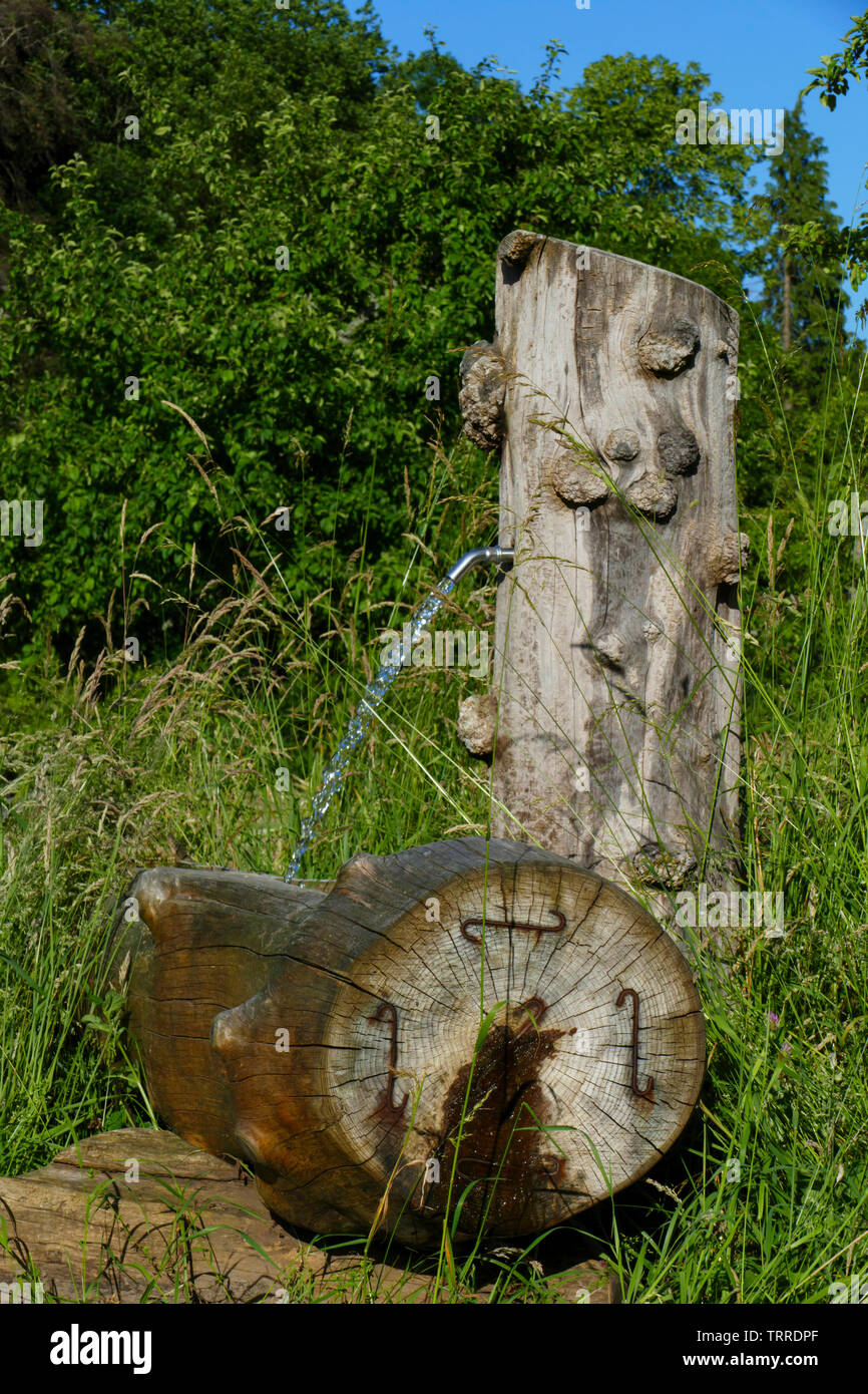 Alter Brunnen aus Holz im öffentlichen Obstgut, und Naherholungsgebiet Lichtental, Baden-Baden Stock Photo