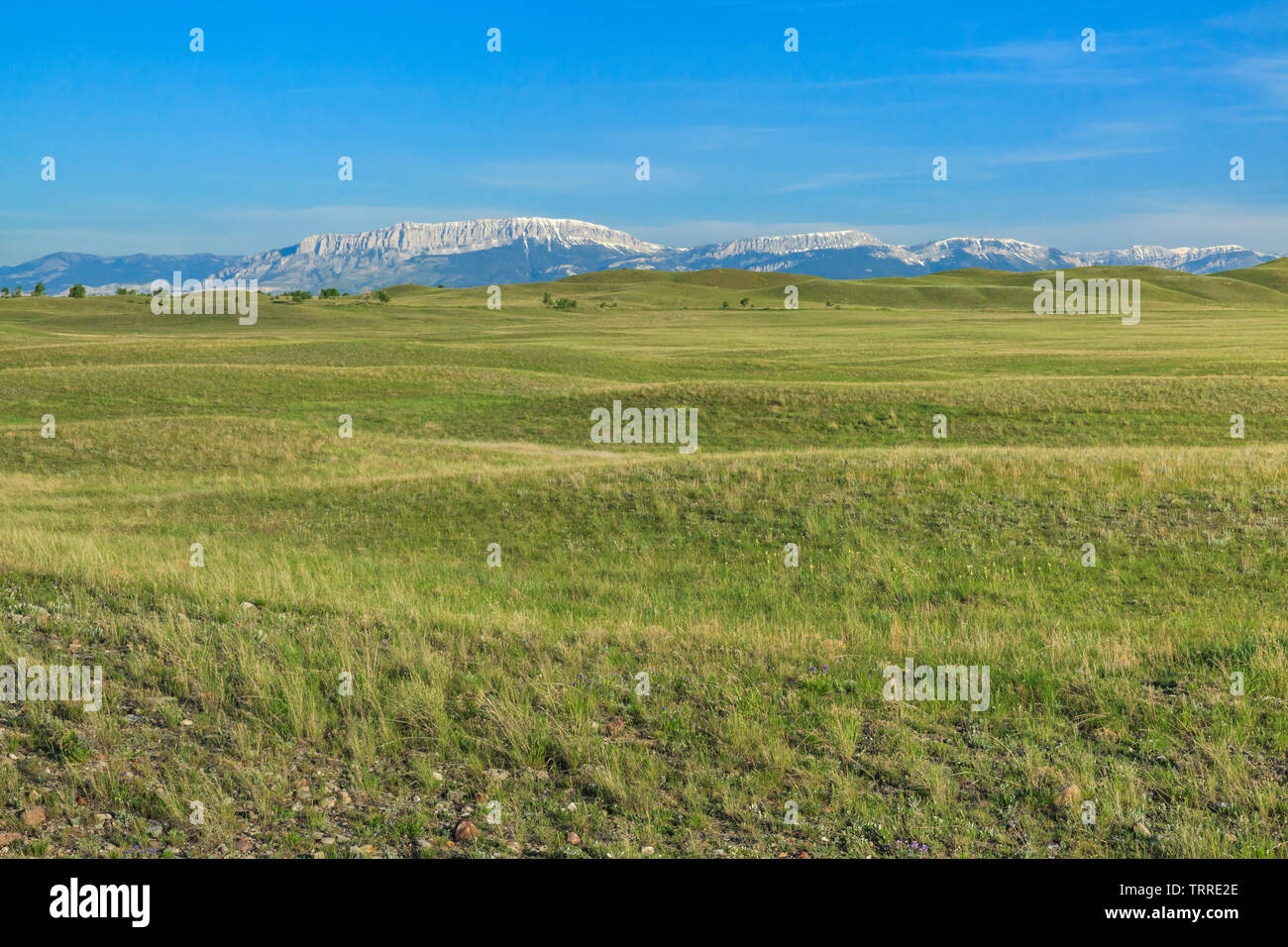 castle reef along the rocky mountain front above the vast prairie near augusta, montana Stock Photo