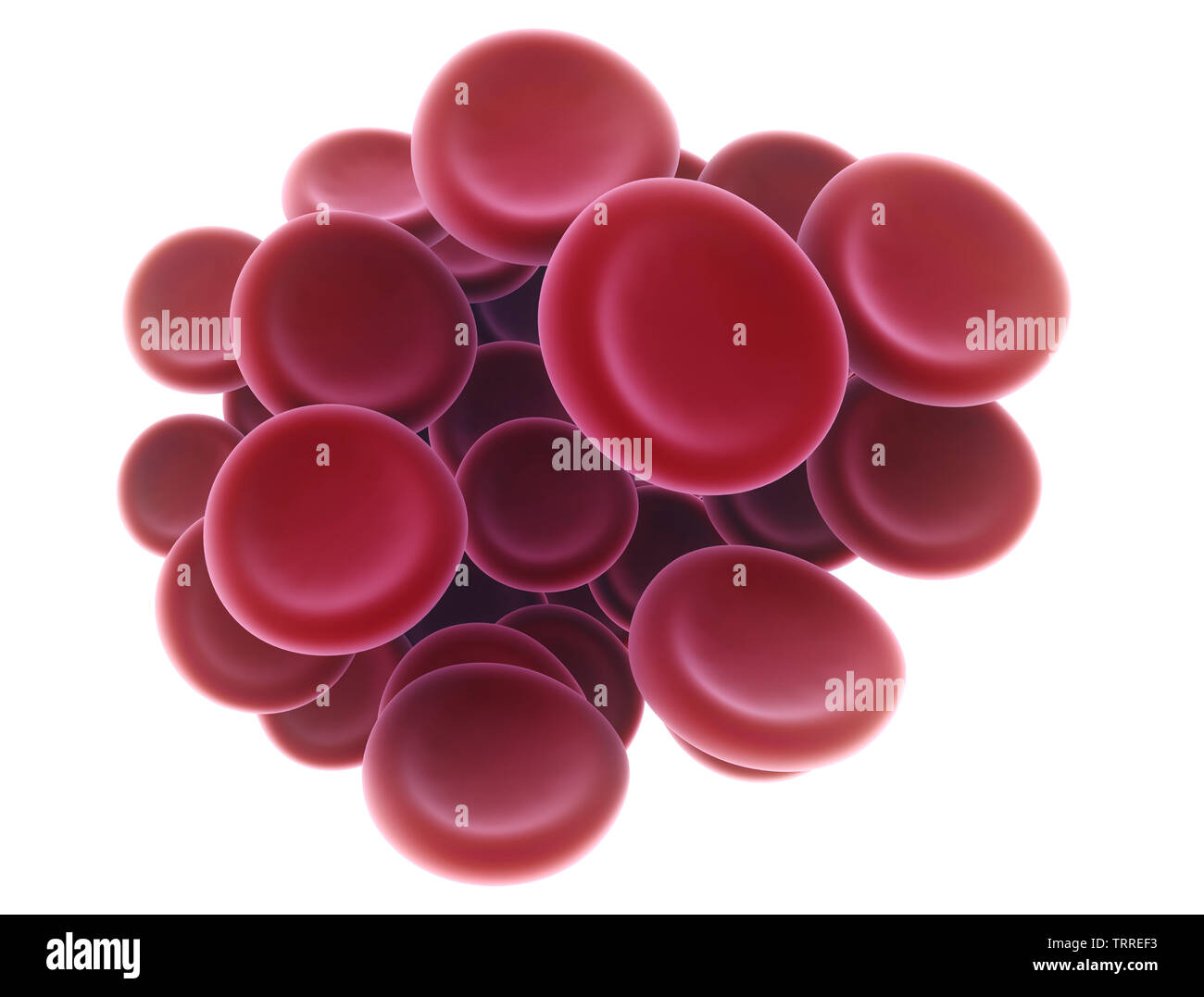 Red blood cells isolated on a white background, 3d medical illustration Stock Photo