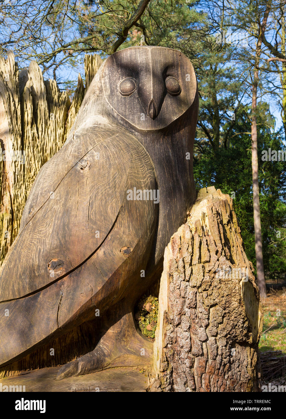 Owl Wood Carving High Resolution Stock Photography and Images - Alamy