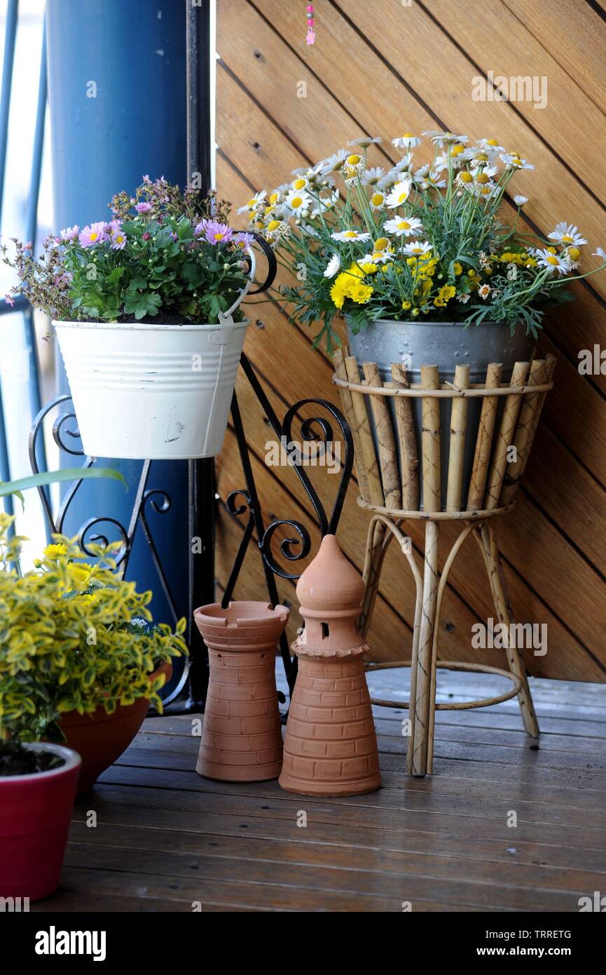 Tom kitchin wife hires stock photography and images Alamy