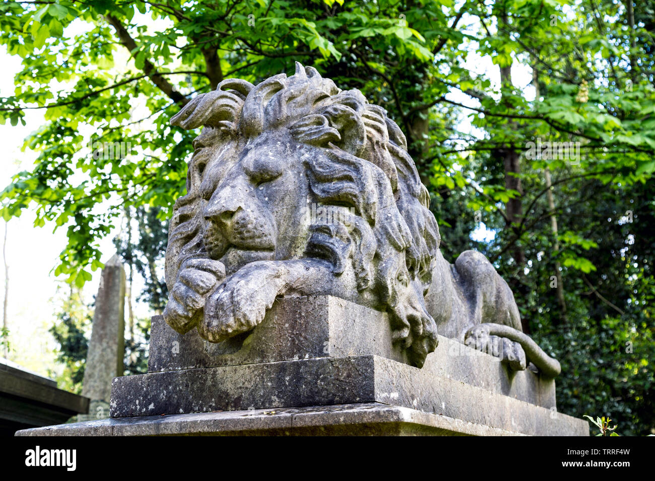 George Wombwell's tomb with a sculpture of his lion Nero on top at Highgate West Cemetery, London, UK Stock Photo