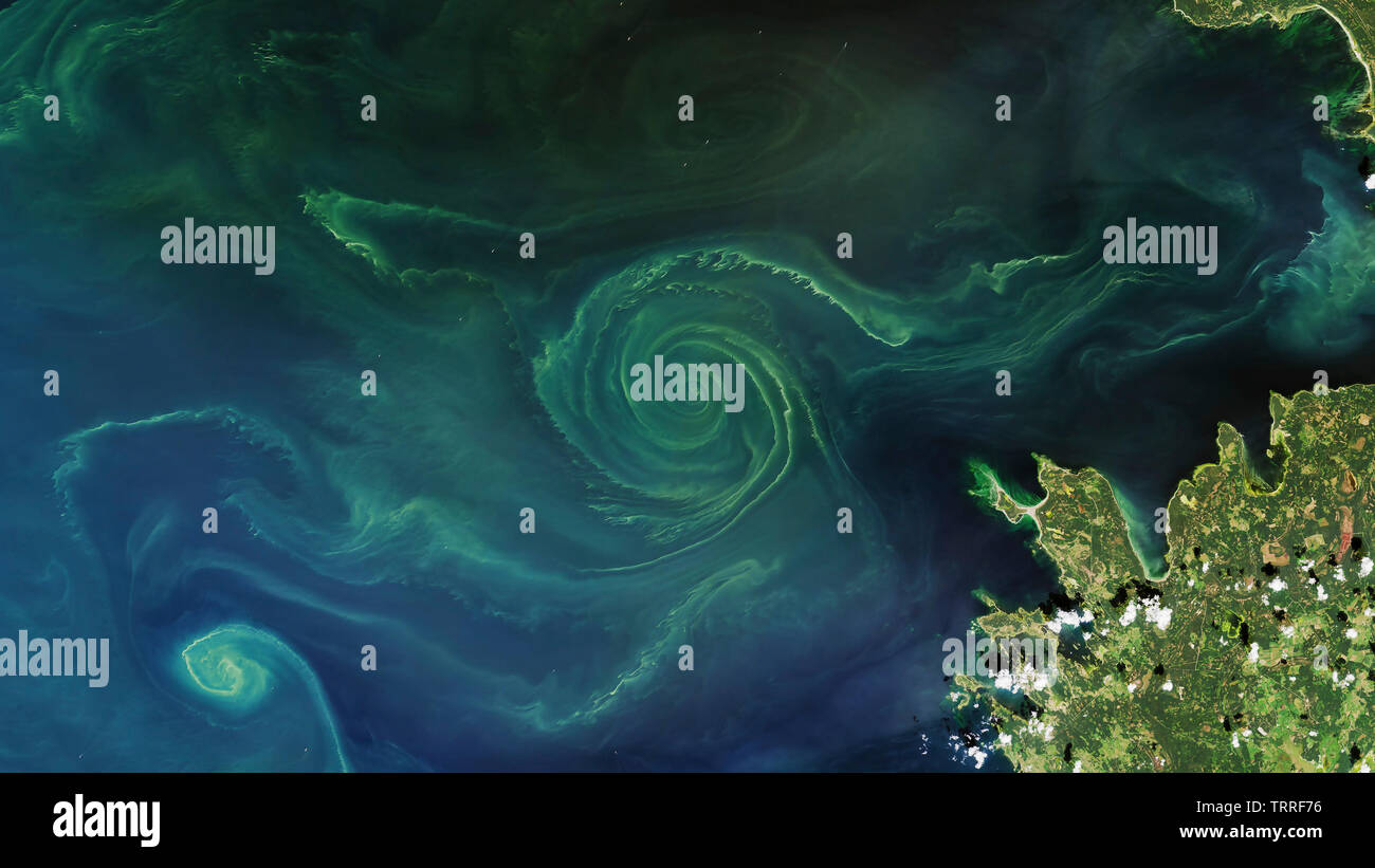 Aerial of a large plankton bloom in the Gulf of Finland, Baltic Sea ...