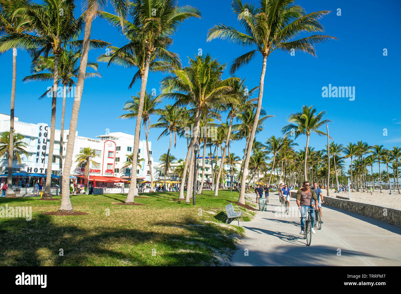 MIAMI - DECEMBER 27, 2017: A group of cyclists ride along the beachfront boardwalk promenade at Lummus Park in South Beach. Stock Photo