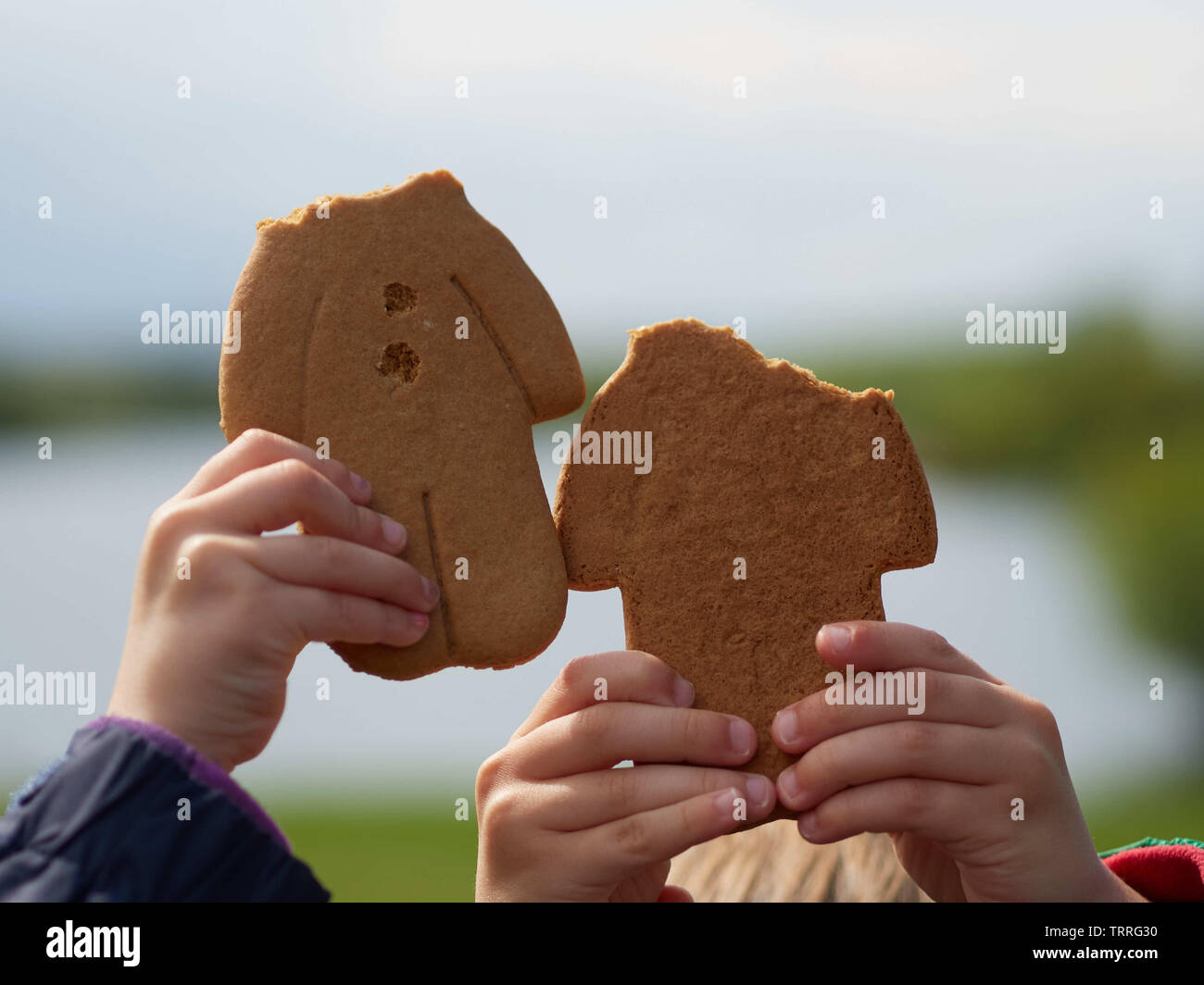 Headless gingerbread men - Manvers Lake, Wath-upon-Dearne, Rotherham, South Yorkshire, UK Stock Photo