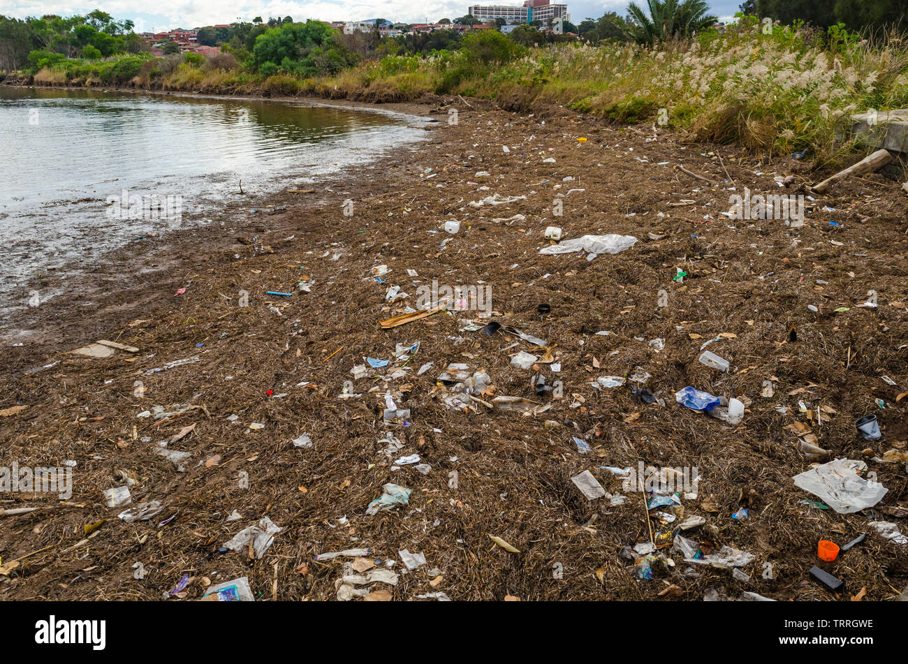 Polluted Lake Stock Photo