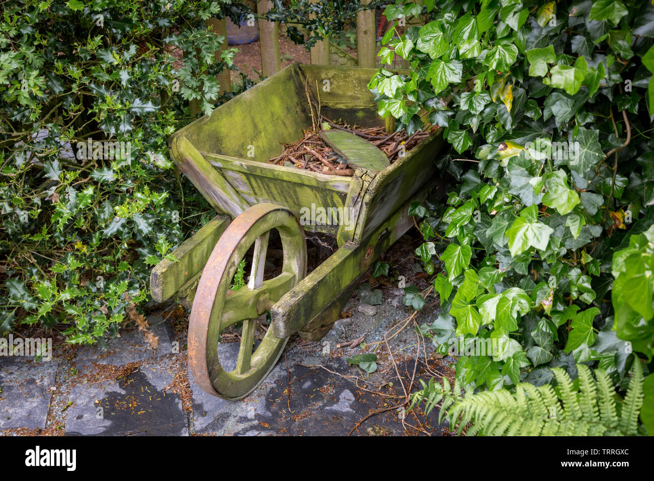 Old wooden wheelbarrow used as a decorative garden feature Stock Photo