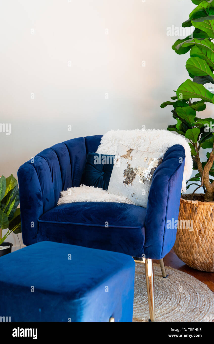 living room interior with blue velvet chair and artificial plant. Stock Photo