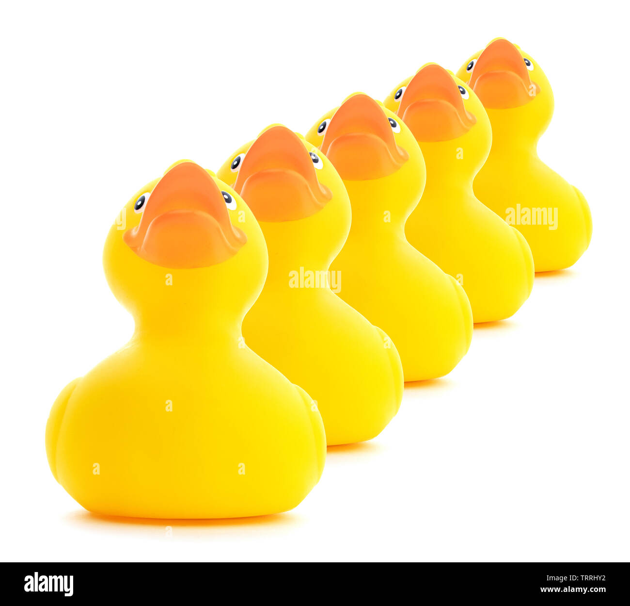 Get your ducks in a row. Rubber ducks in a row isolated on a white background. Stock Photo