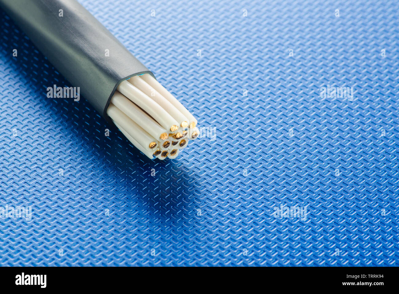 The cross-section of the control cable lies on the blue technological surface Stock Photo