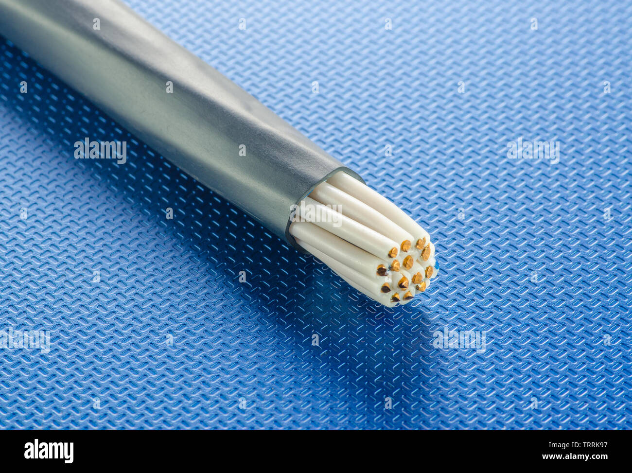 The crosssection of the control cable lies on the blue technological