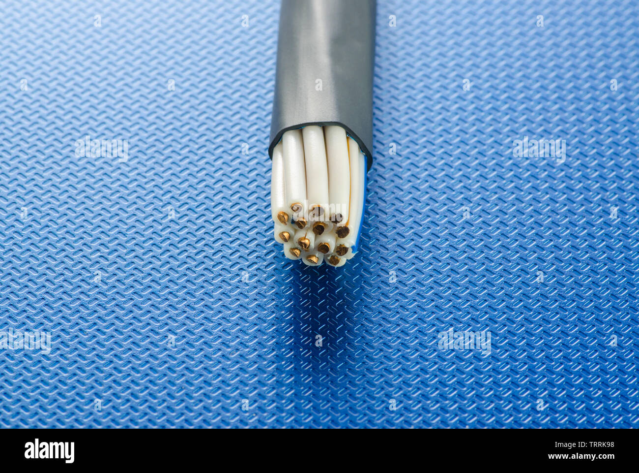 Cross-section of control cable on blue technological background Stock Photo