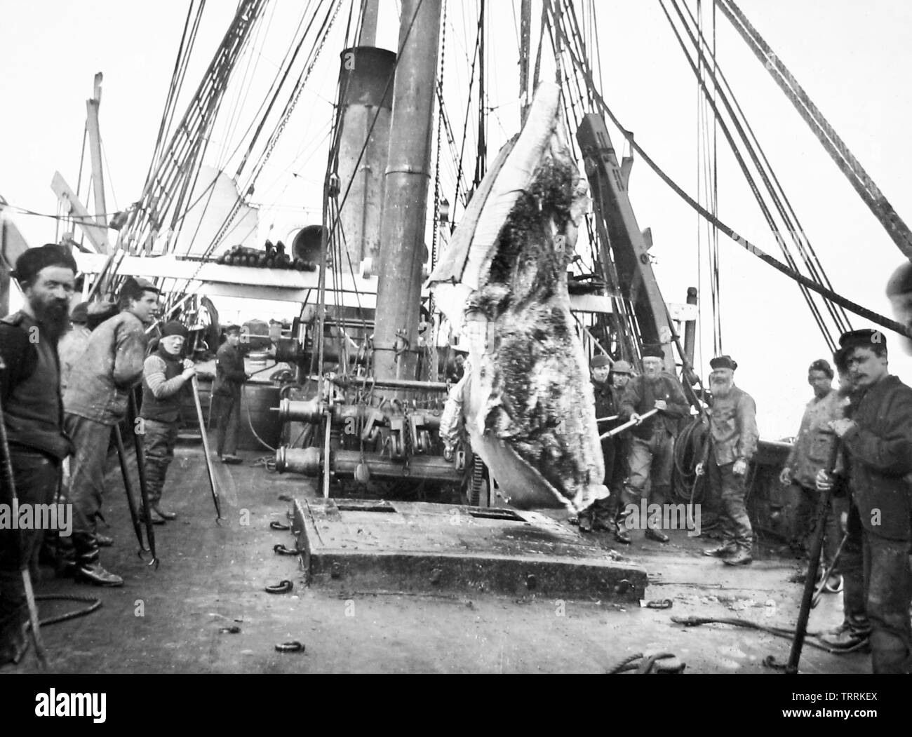 Whaling ship hi-res stock photography and images - Alamy