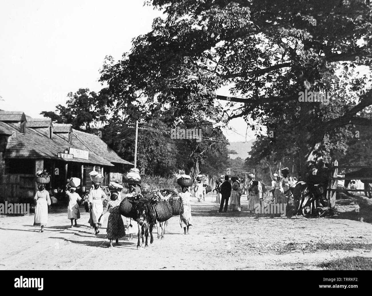 The Half-Way Tree, Kingston, Jamaica Stock Photo