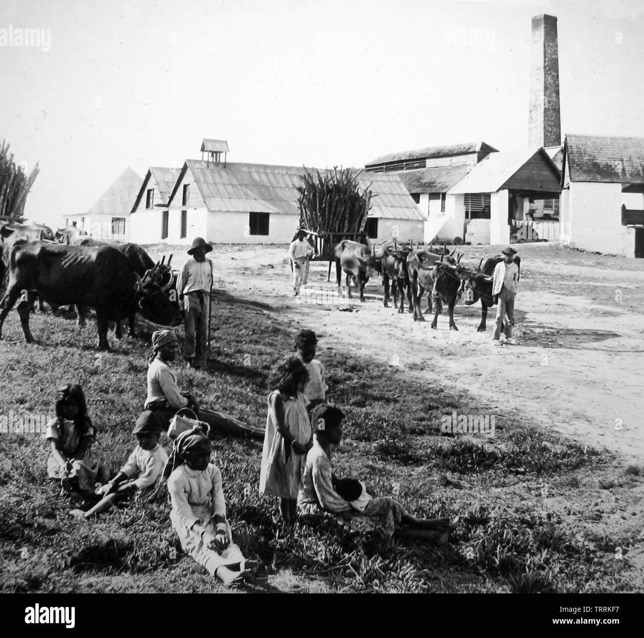 Sugar mill, Jamaica Stock Photo