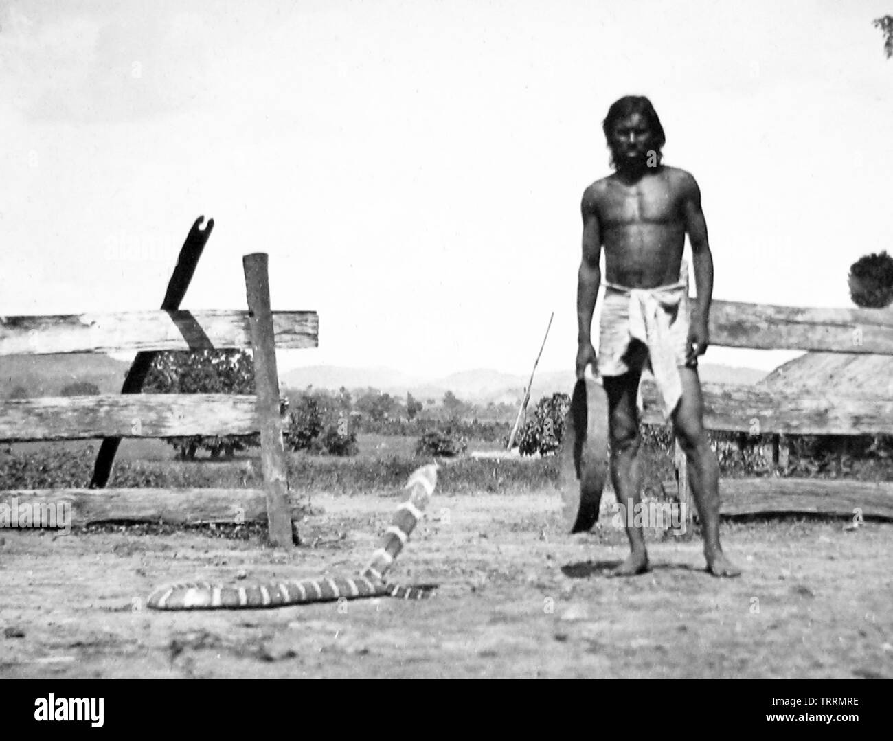 Victorian Snake High Resolution Stock Photography and Images - Alamy