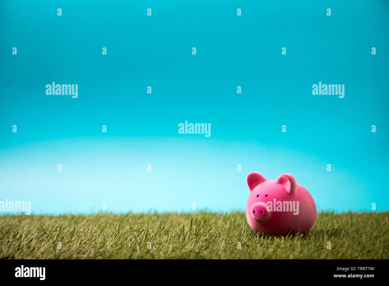 Piggy bank on green grass and blue sky Stock Photo