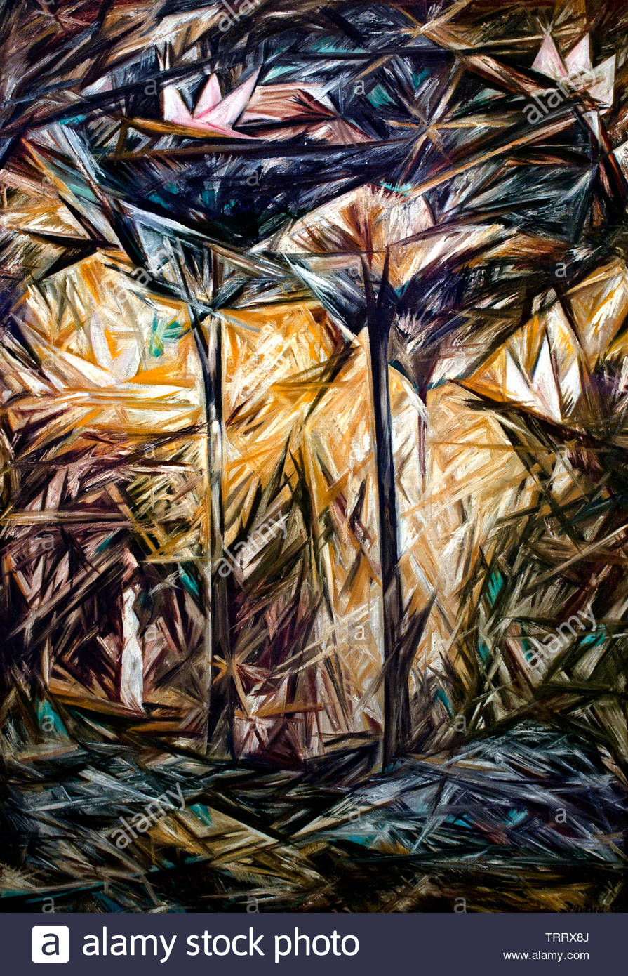Natalia Goncharova Stock Photos Natalia Goncharova Stock - 