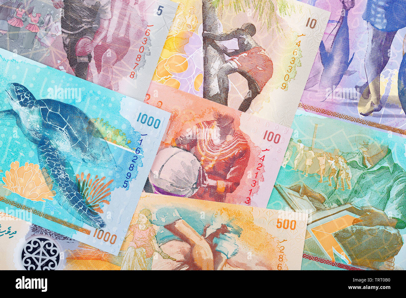 Full set of Maldivian money, a business background Stock Photo