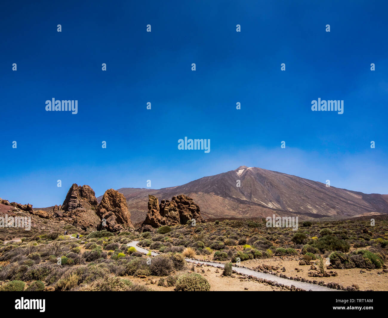Beautiful landscape of Teide National Park in Tenerife Canary Islands Spain Stock Photo