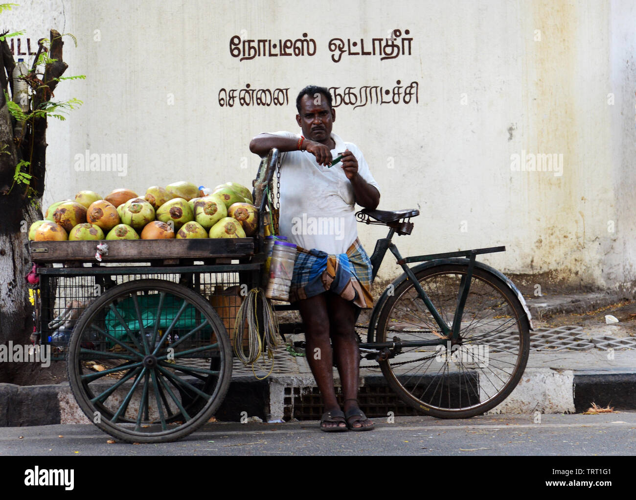 A coconut vendor in Chennai, India Stock Photo Alamy