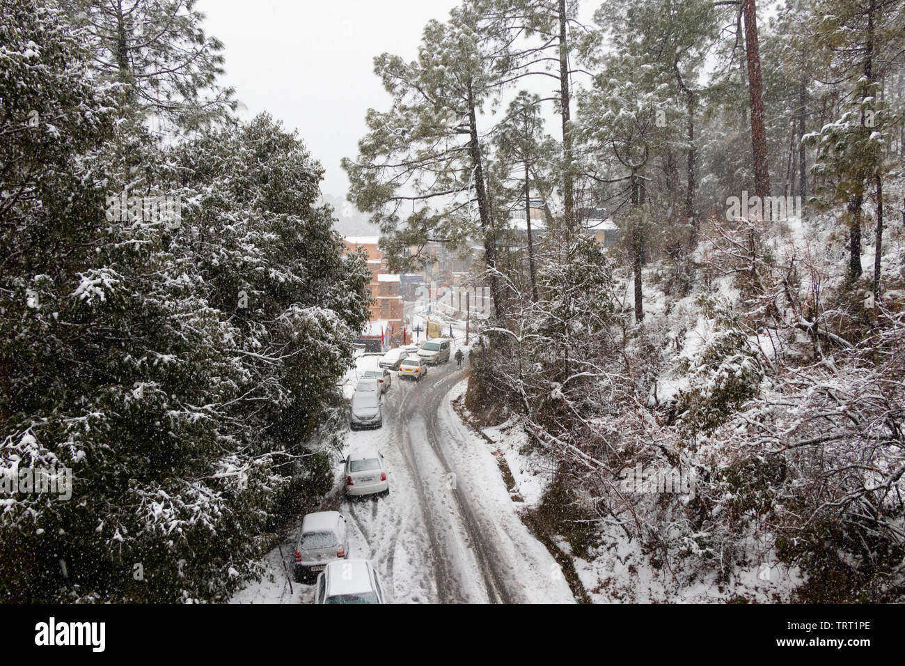 Banikhet, Dalhousie, Himachal Pradesh, India - January 2019. Consequences of heavy snowfall, the road and parked cars are covered with snow, snowflake Stock Photo
