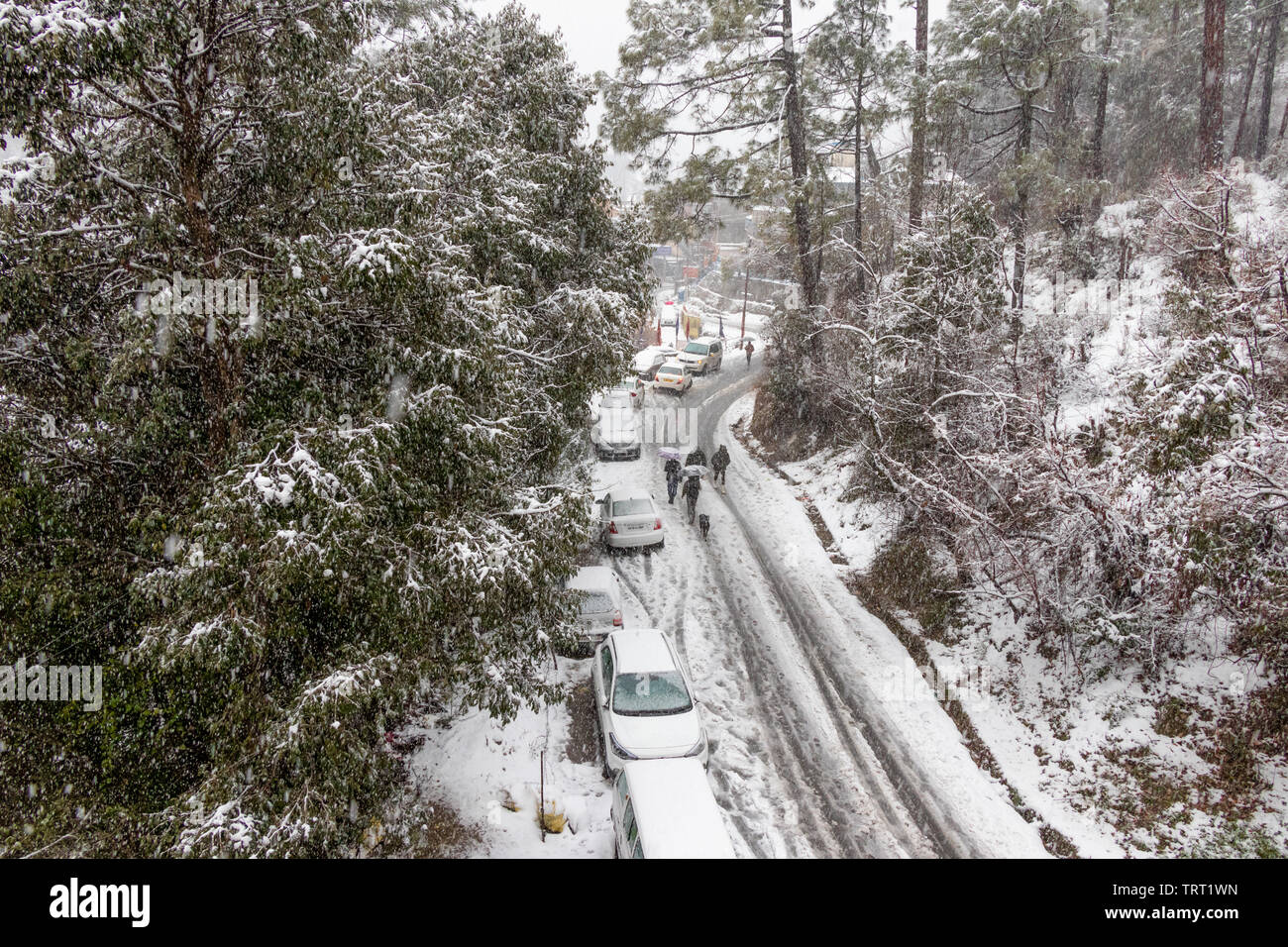 Banikhet, Dalhousie, Himachal Pradesh, India - January 2019. Consequences of heavy snowfall, the road and parked cars are covered with snow, snowflake Stock Photo