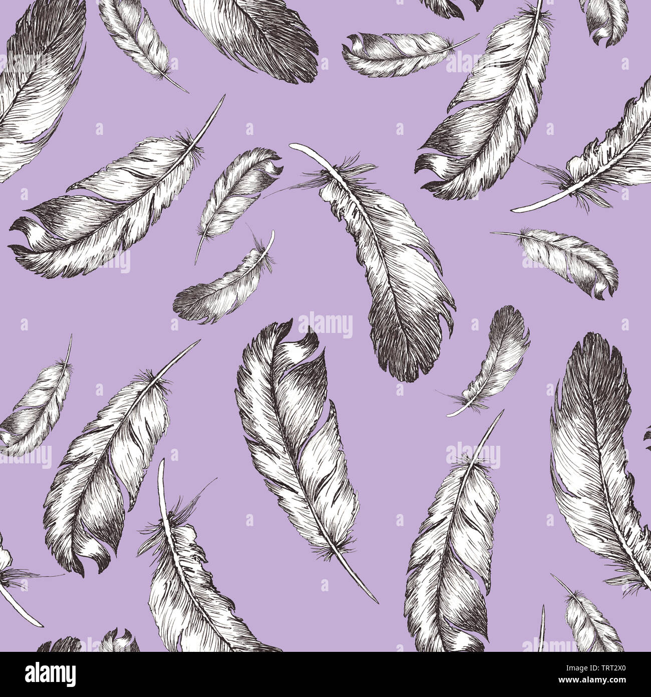 white and black sketch illustration of bird feathers isolated on violet ...