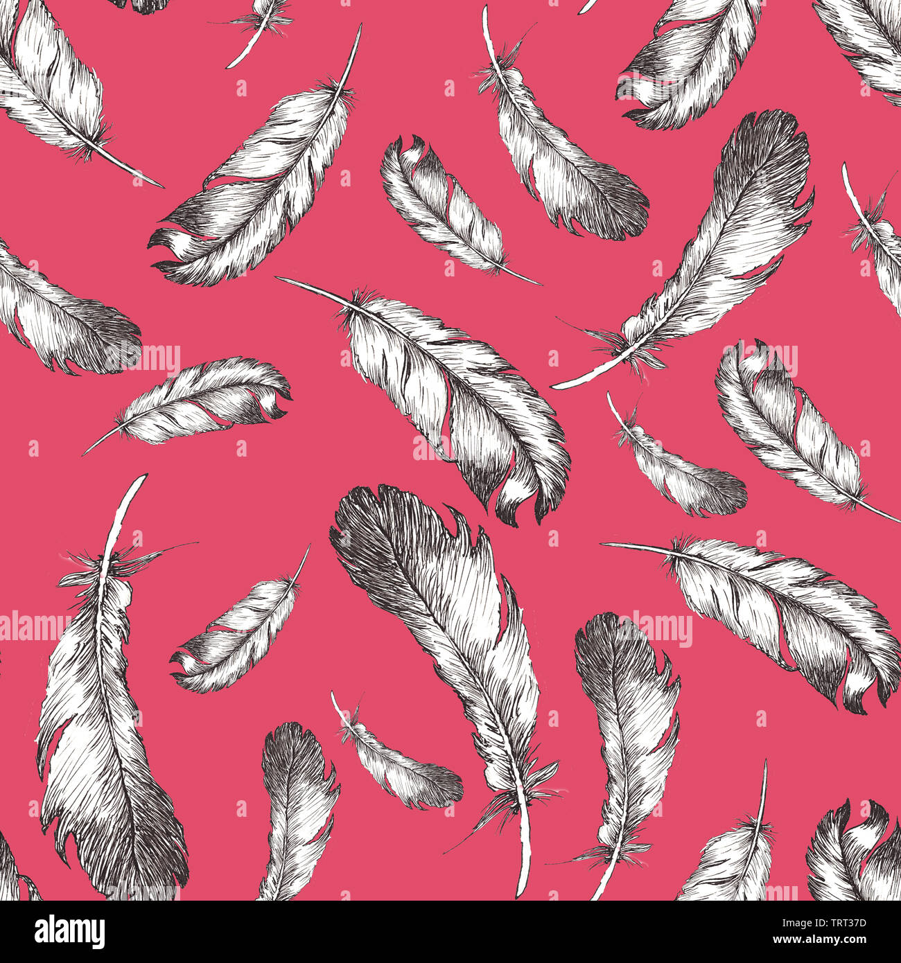 white and black sketch illustration of bird feathers isolated on trendy ...