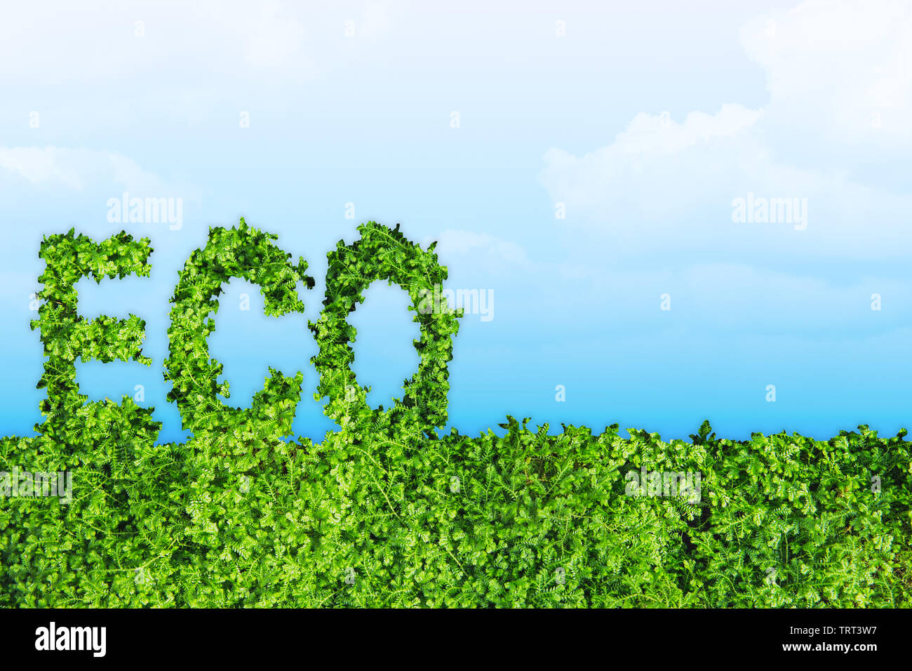 Green Eco Earth Day concept art with space for background Stock Photo